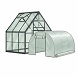Greenhouses a foliaceous plants