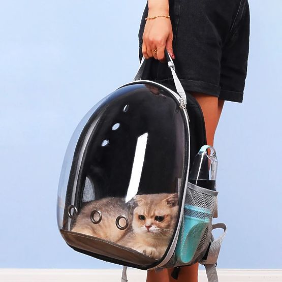 Animal Carrier P70259 Black