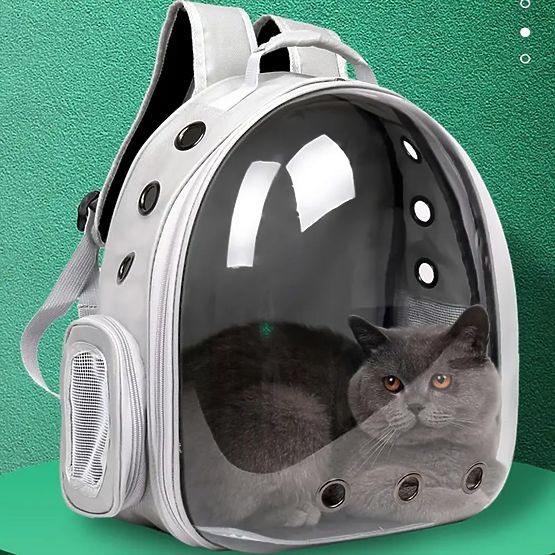 Animal Carrier P70259 Gray