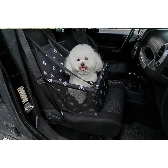 Animal Transporter for Cats and Dogs