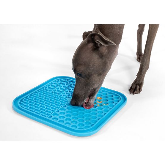 Anti-Stress Lick Mat Set PJ-038