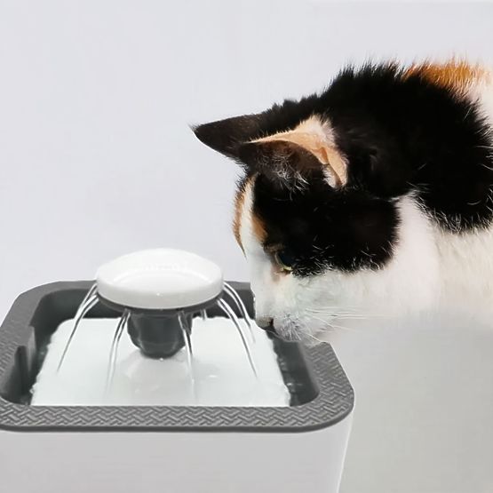 Automatic Dispenser Bowl with Fountain for Cats and Dogs