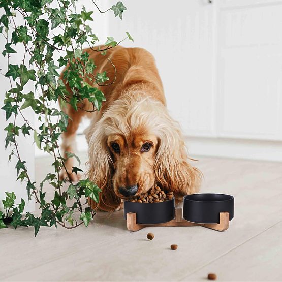 BLACK PET FOOD AND WATER BOWL 331579