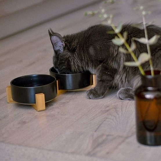 BLACK PET FOOD AND WATER BOWL 331579