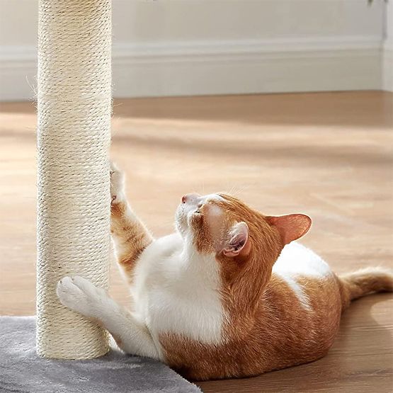 CAT SCRATCHER GRAY P10244