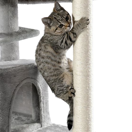 CAT SCRATCHER GRAY P10244