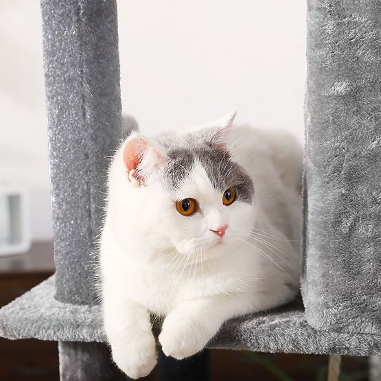 CAT SCRATCHER GRAY P10244