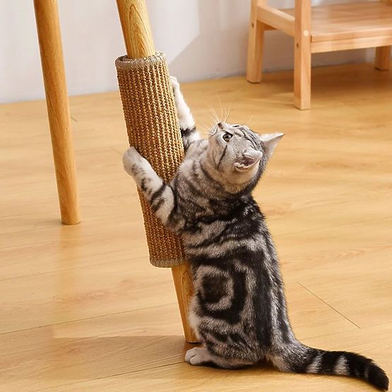 CAT SCRATCHING PAD 60x40cm 332494