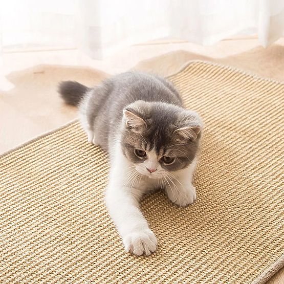 CAT SCRATCHING PAD 60x40cm 332494