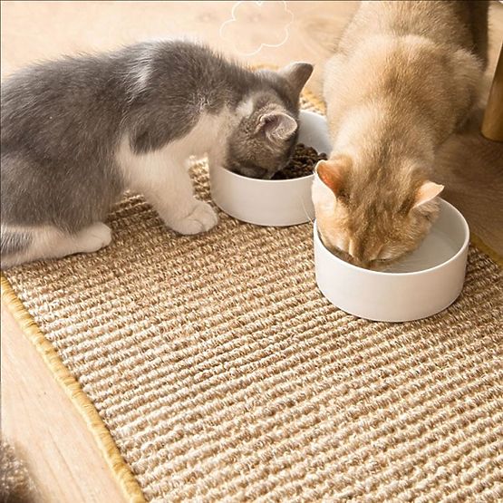 CAT SCRATCHING PAD 60x40cm 332494