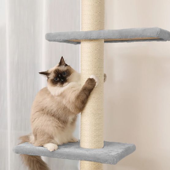 CEILING CAT SCRATCHER GRAY P70374