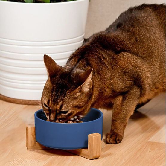 Ceramic Bowl for Dog or Cat Blue PJ-033