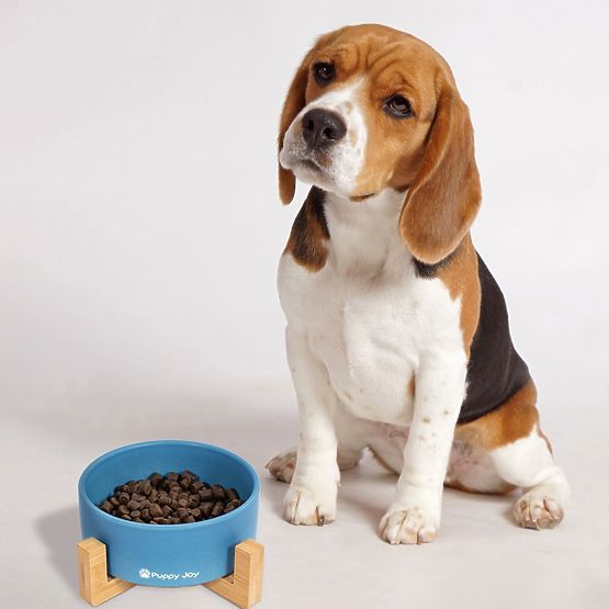 Ceramic Bowl for Dog or Cat Blue PJ-033