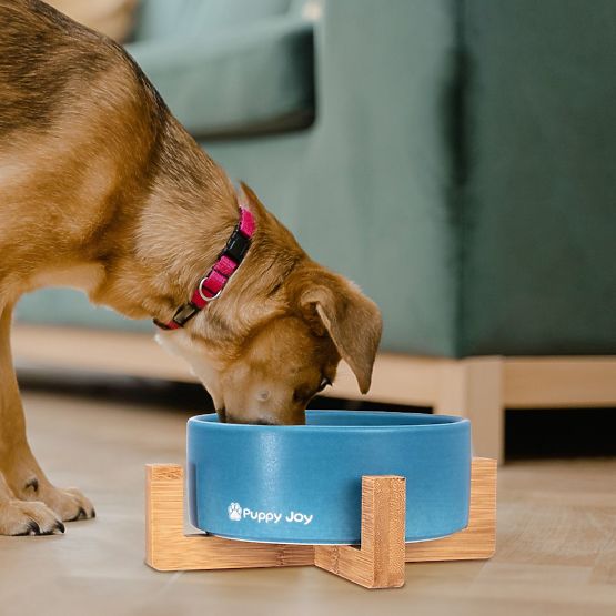 Ceramic Bowl for Dog or Cat Blue PJ-033