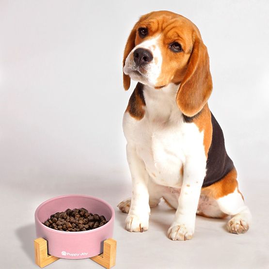 Ceramic Bowl for Dog or Cat Pink PJ-032