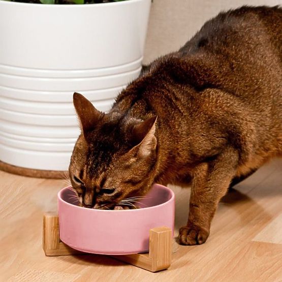 Ceramic Bowl for Dog or Cat Pink PJ-032