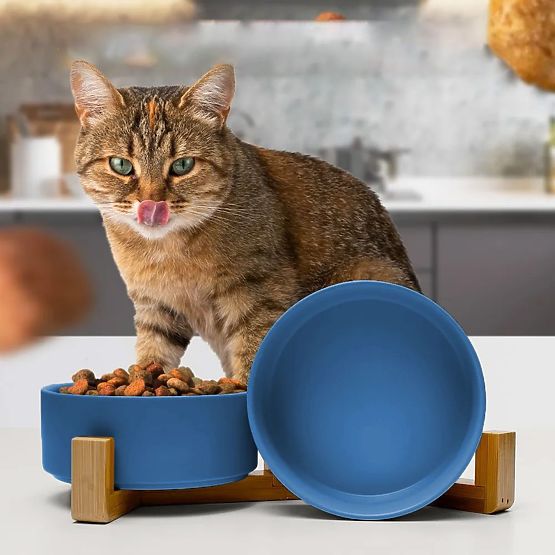 Ceramic Bowls for Dogs or Cats Blue PJ-080
