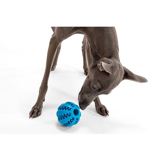 Chew Ball for Dogs Blue PJ-039