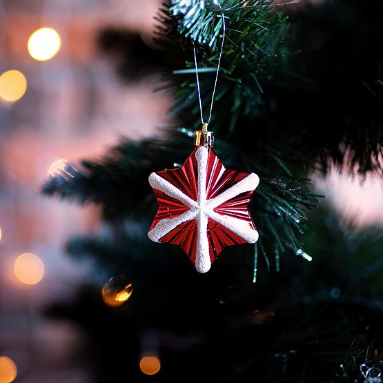 CHRISTMAS ORNAMENTS RED AND WHITE 78PCS SYSD1688-113