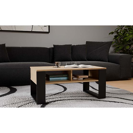 Coffee Table Modern 2P ARTISAN BLACK