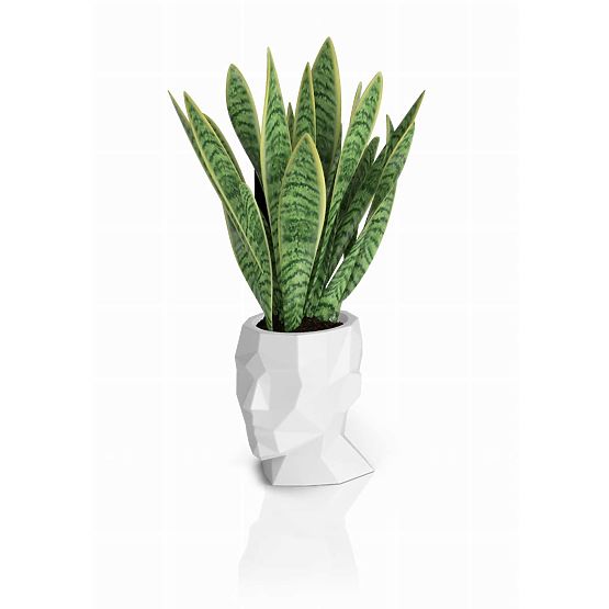 Design flower pot ADONIS White