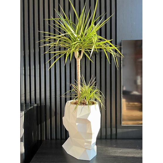 Design flower pot ADONIS White