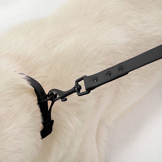 Dog Leash and Collar PJ-067 Black S