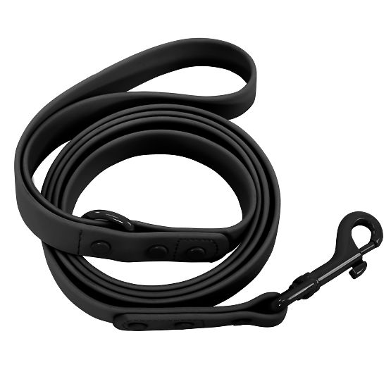 Dog Leash and Collar PJ-067 Black S