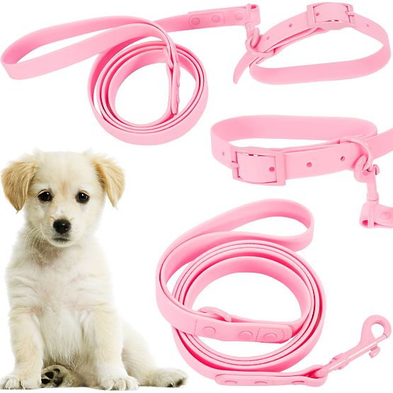 Dog Leash and Collar PJ-068 Pink S