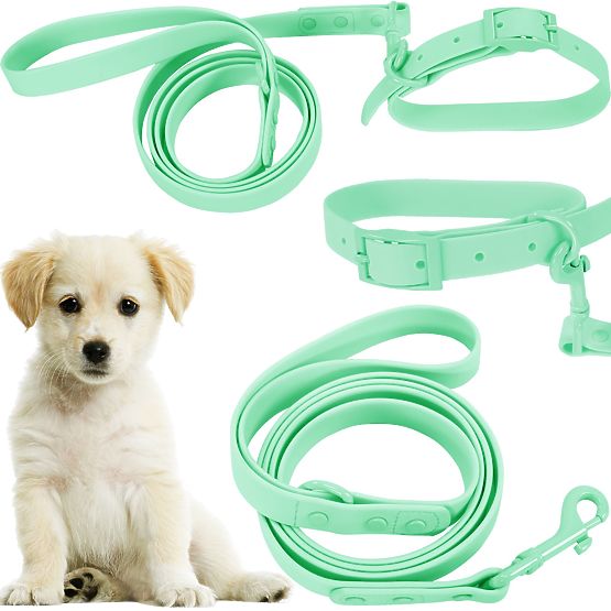 Dog Leash and Collar PJ-069 Green S