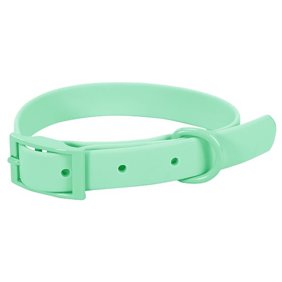 Dog Leash and Collar PJ-069 Green S