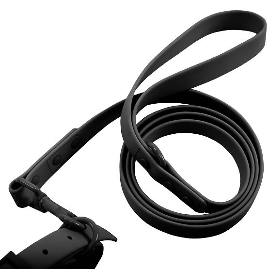 Dog Leash and Collar PJ-071 Black M