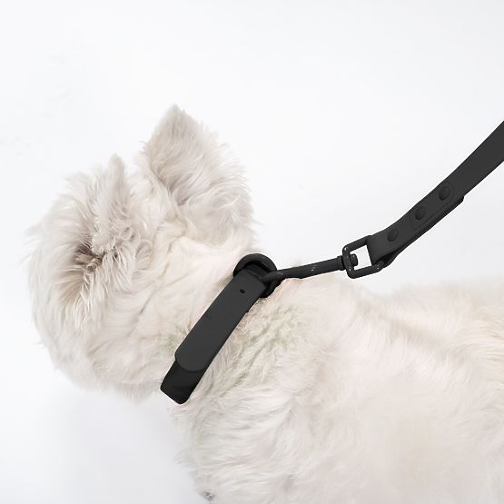 Dog Leash and Collar PJ-071 Black M