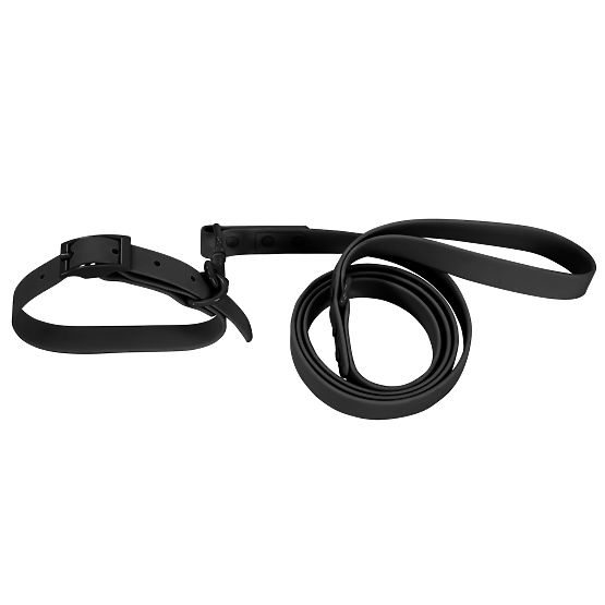 Dog Leash and Collar PJ-071 Black M