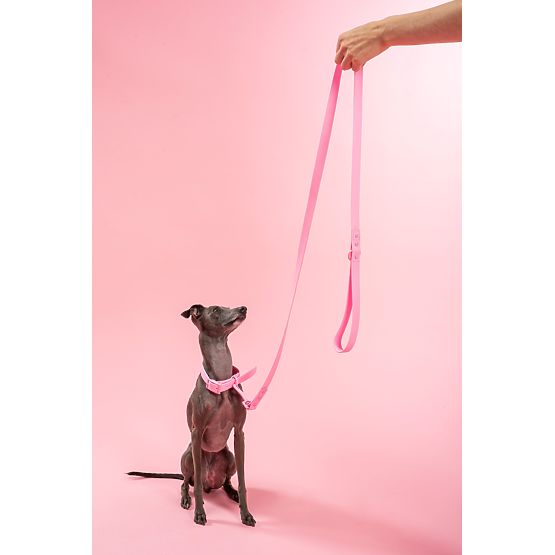 Dog Leash and Collar PJ-072 Pink M