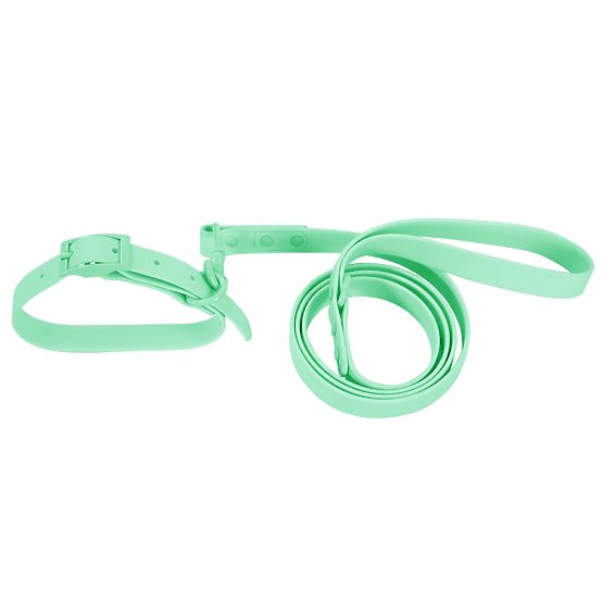 Dog Leash and Collar PJ-073 Green M