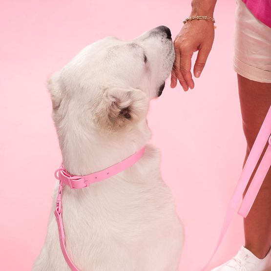 Dog Leash and Collar PJ-076 Pink L