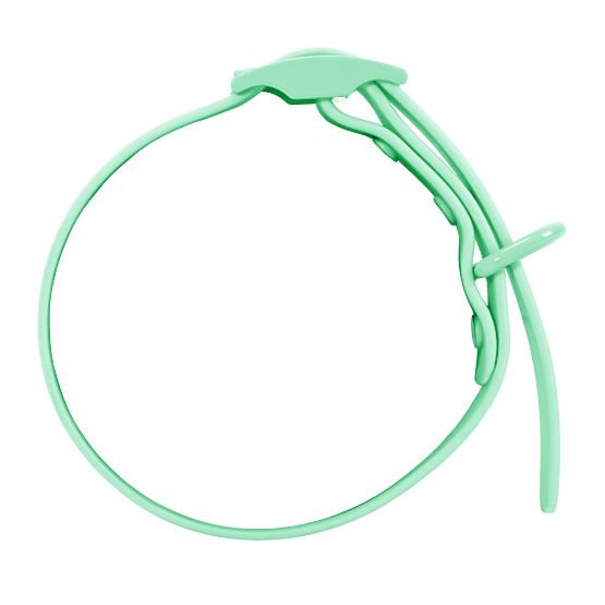 Dog Leash and Collar PJ-077 Green L