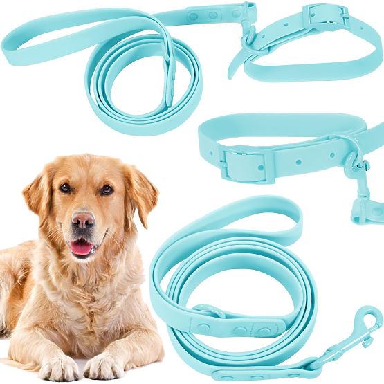 Dog Leash and Collar PJ-078 Blue L