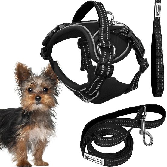 Dog Leash and Harness PJ-047 Black XS