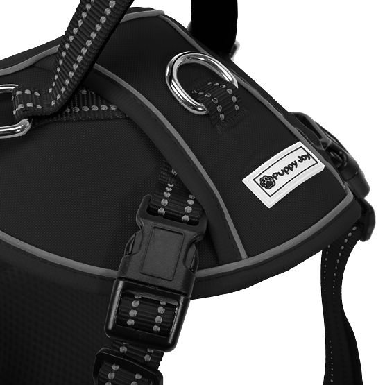 Dog Leash and Harness PJ-047 Black XS