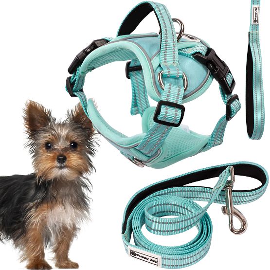 Dog Leash and Harness PJ-049 Green XS