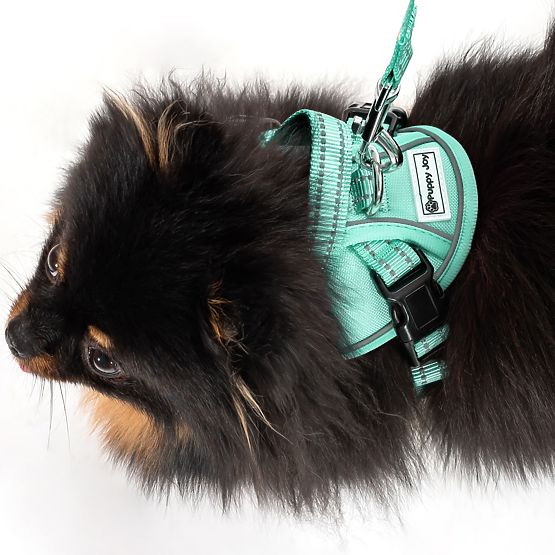 Dog Leash and Harness PJ-049 Green XS