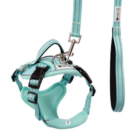 Dog Leash and Harness PJ-049 Green XS