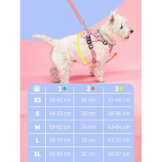 Dog Leash and Harness PJ-056 Pink M