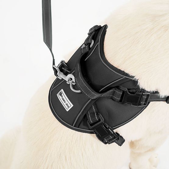 Dog Leash and Harness PJ-059 Black L