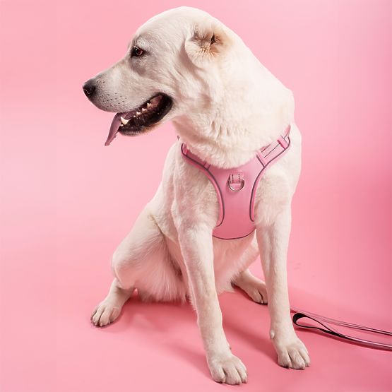 Dog Leash and Harness PJ-060 Pink L