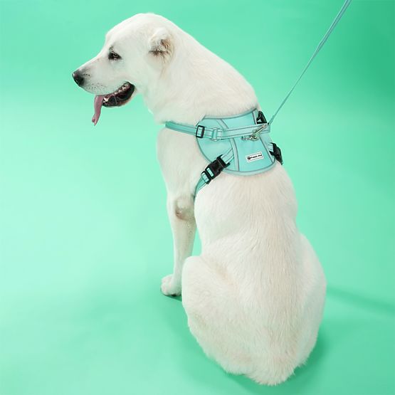 Dog Leash and Harness PJ-061 Green L