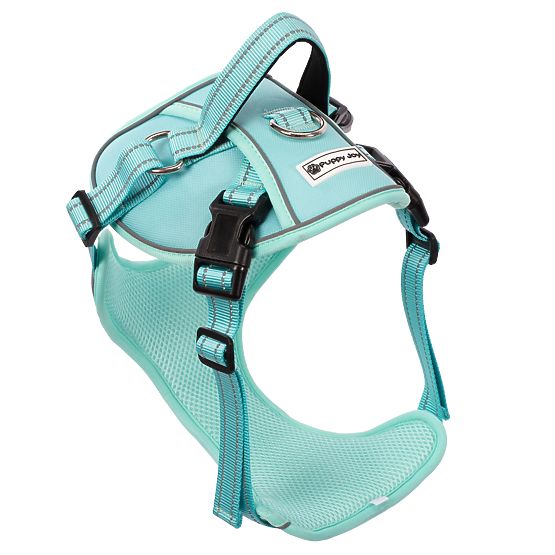 Dog Leash and Harness PJ-061 Green L