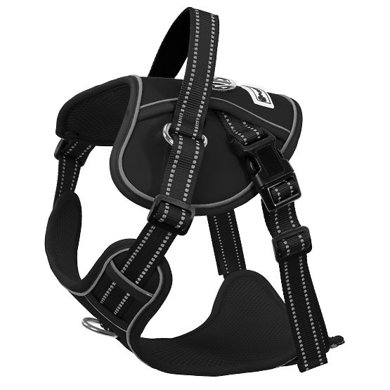 Dog Leash and Harness PJ-063 Black XL